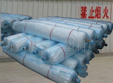 青州海飛塑料制品廠 優(yōu)質(zhì)灌漿膜、地膜、農(nóng)膜、大棚膜批發(fā)供應(yīng)商