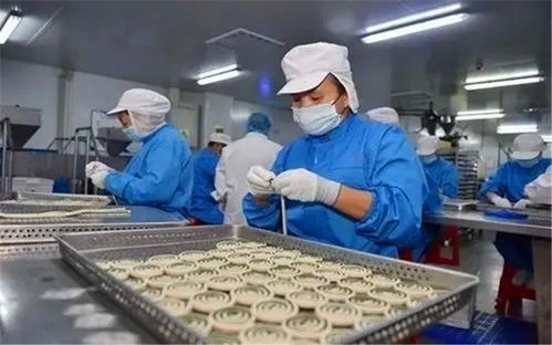 在小縣城投入20萬辦廠 聚焦寵物食品，掘金藍海市場的快車道