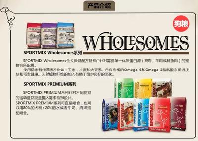 四家工廠因嚴重違規收到FDA警告信，寵物食品安全警鐘再鳴