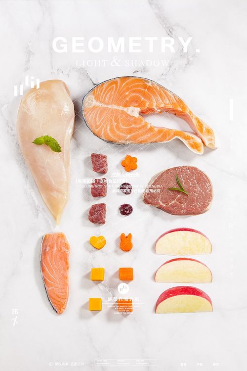 電商視覺突圍 成都寵物食品攝影的藝術與實戰