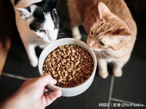 未來五年寵物食品包裝市場 年復(fù)合增長率6.79%背后的機遇與挑戰(zhàn)